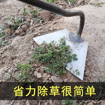 鏟子農用除草神器開荒輕巧鋤草全鋼鏟草菜刀鋤地專用掃墓除草鋤頭