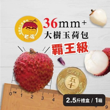 【老張鮮物】36MM+大樹玉荷包(去枝葉)2.5斤禮盒-數量任選
