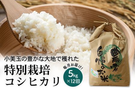 新米 コシヒカリ 5kg 12ヶ月定期便 こしひかり 5キロ 令和5年産 お米 特別栽培米 ご飯 白米 送料無料 減農薬 茨城県産米 茨城産米 精米 令和4年産米 国産国消 お祝い 内祝い ギフト 令和4年産の小美玉産特別栽培米コシヒカリ5kgを1年間（12ヶ月間）毎月お届け