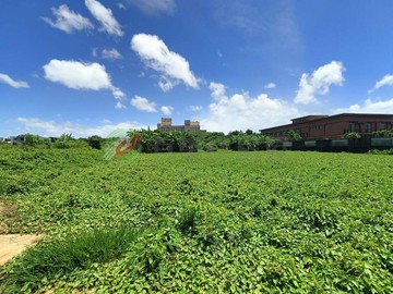 八德重劃區旁方正農地｜桃園市八德區建國段