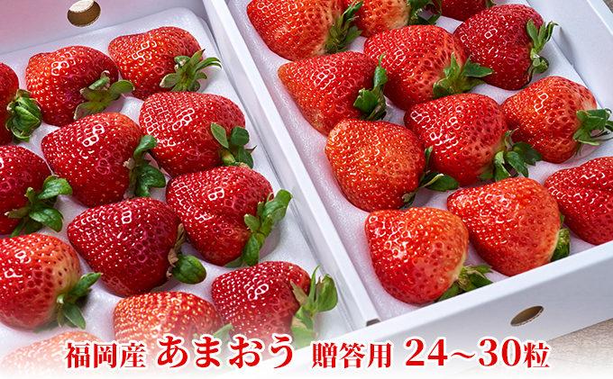 いちご あまおう 贈答用 24～30粒 福岡のいちご！苺 本来の酸味と甘み 配送不可 離島