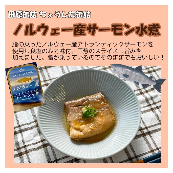 ちょうした缶詰 田原缶詰 オイル・水煮セット ４缶 新発売    のし・ギフト・サンプル各種対応不可