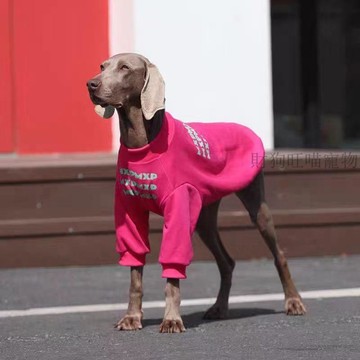 💕在臺出貨🔥春秋季大型犬狗狗衣服邊牧金毛薩摩耶玫紅色圓領德絨T恤春秋
