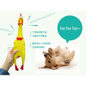 ＊Nicole寵物＊尖叫雞嘲諷玩具【S、M、L】慘叫雞,有聲玩具,抗憂鬱,發洩,紓解壓力,犬用安全乳膠玩具,彈性佳
