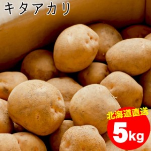 今季出荷開始中 送料無料 新じゃがいも 新じゃが 北海道産 じゃがいも キタアカリ1箱 5キロ入   5kg　５キロ ５ｋｇ きた