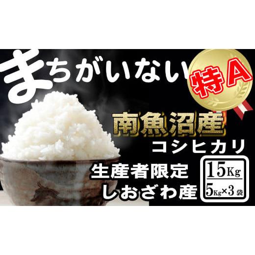 ふるさと納税 新潟県 南魚沼市 生産者限定／契約栽培 南魚沼しおざわ産コシヒカリ15Kg（５Kg×3袋）