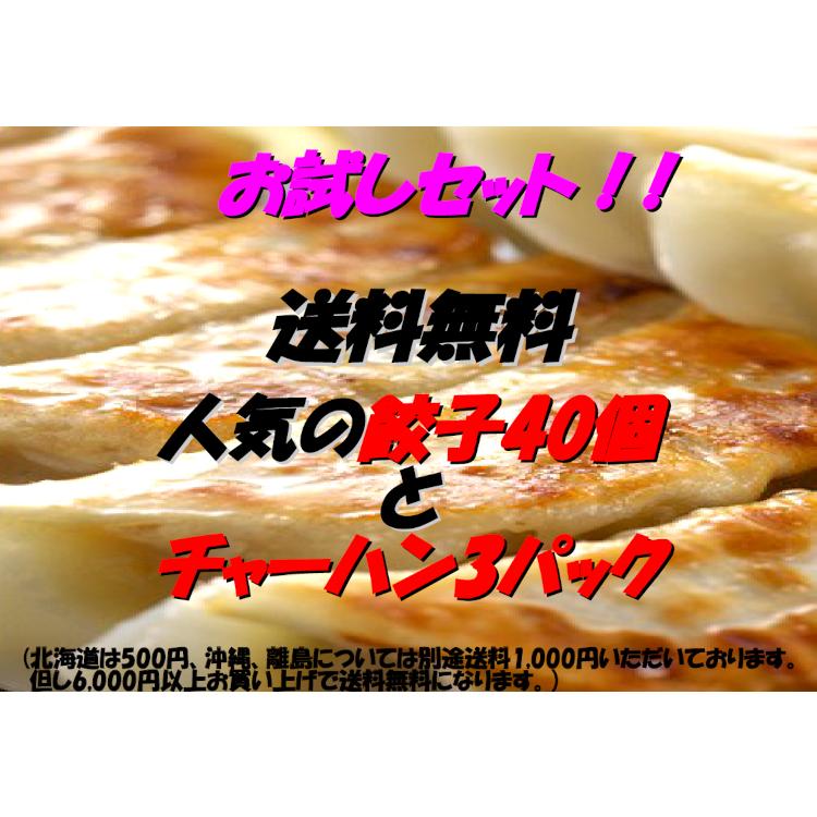 餃子40個 チャーハン3パック ぎょうざ ギョーザ ギョウザ みんみん 中華 炒飯 送料無料