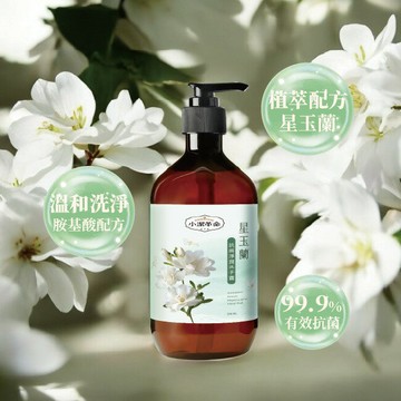 小潔革命 星玉蘭抗菌淨潤洗手露500ml
