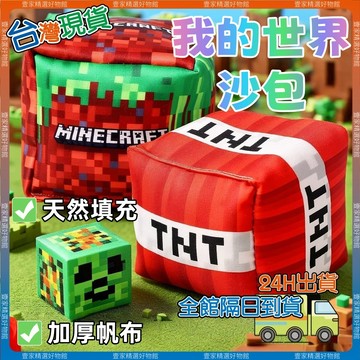 現貨🏆隔日到貨 我的世界沙包 Minecraft我的世界 TNT炸彈手 加厚 幼兒園戶內外投擲多人互動競技 丟沙包 玩具