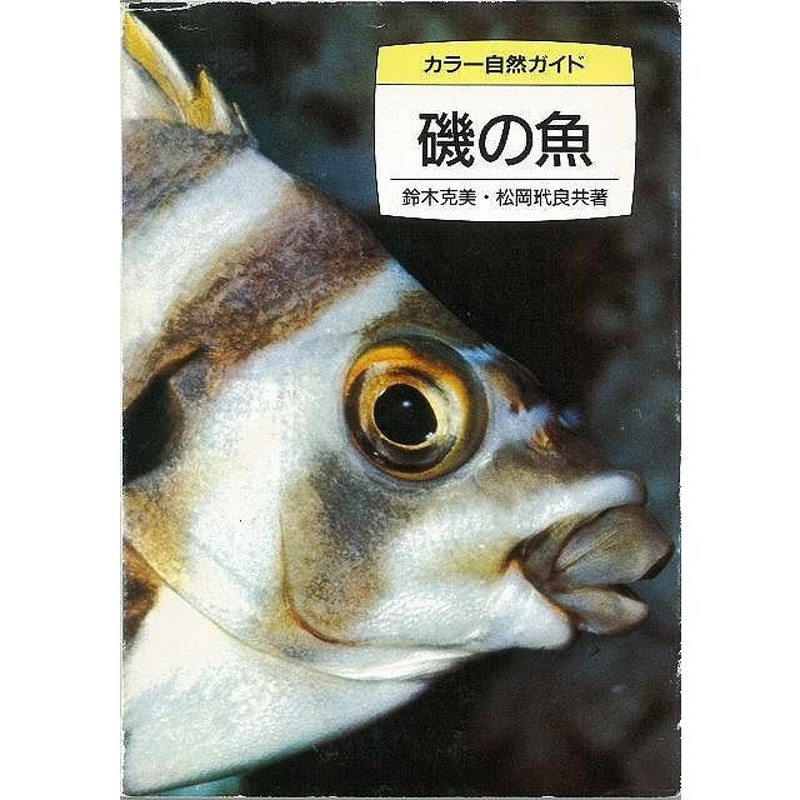 磯の魚 カラー自然ガイド２８ バーゲンブック 鈴木 克美 他 保育社 釣り 写真 ガイド 環境 日本 写真家 写真集 通販 Lineポイント最大0 5 Get Lineショッピング