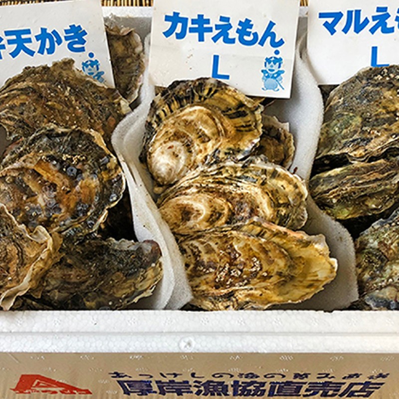 北海道厚岸産 殻かき三種 食べ比べ お試し セット 牡蠣 通販 LINE