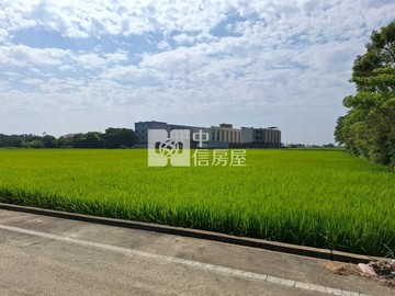 新屋十五間段方正美田(B)｜桃園市新屋區十五間段十五間尾小段