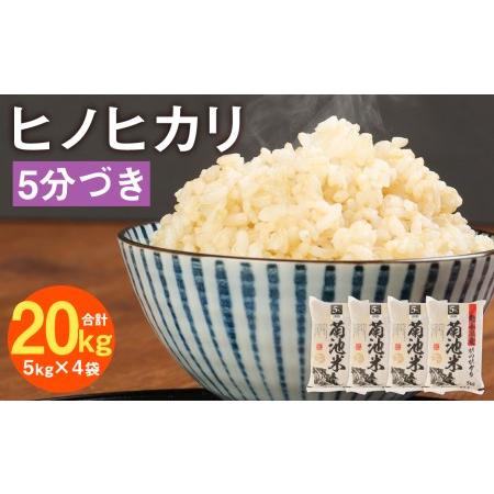 ふるさと納税 熊本県菊池産 ヒノヒカリ 5kg×4袋 計20kg 5分づき米 お米 分づき米 令和5年産 熊本県菊池市