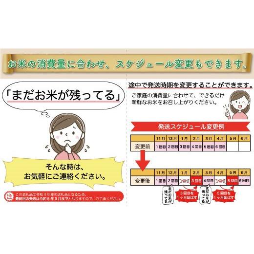 令和5年産 雪若丸  定期便 60kg（10kg×1カ月ごと6回お届け）＜配送時期指定可＞ 山形県 戸沢村