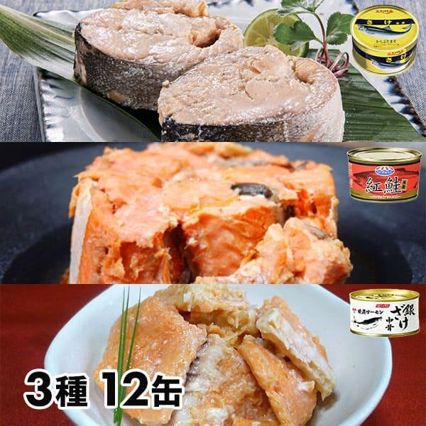 アイブリッジ さけの缶詰3種 12缶セット 1セット（12缶：3種×各4缶）