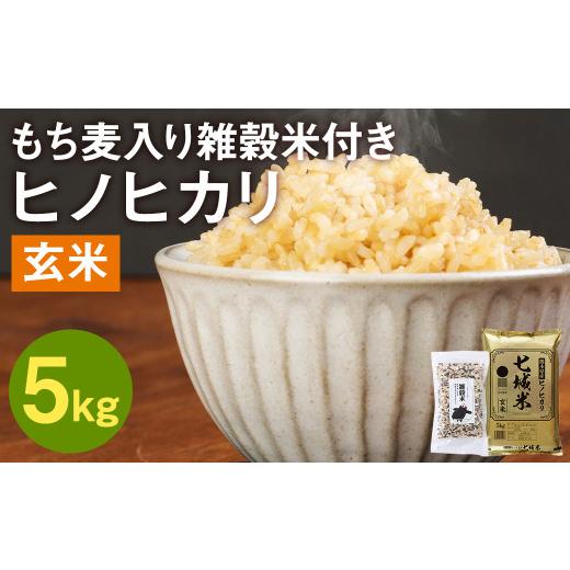 ふるさと納税 熊本県 菊池市 熊本県菊池産 ヒノヒカリ 玄米 5kg もち麦入り雑穀米 200g 米 お米 残留農薬ゼロ 低温貯蔵