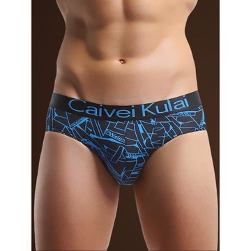 男士三角內褲男夏季超薄款印花新款冰絲速干νckν短褲大碼褲頭