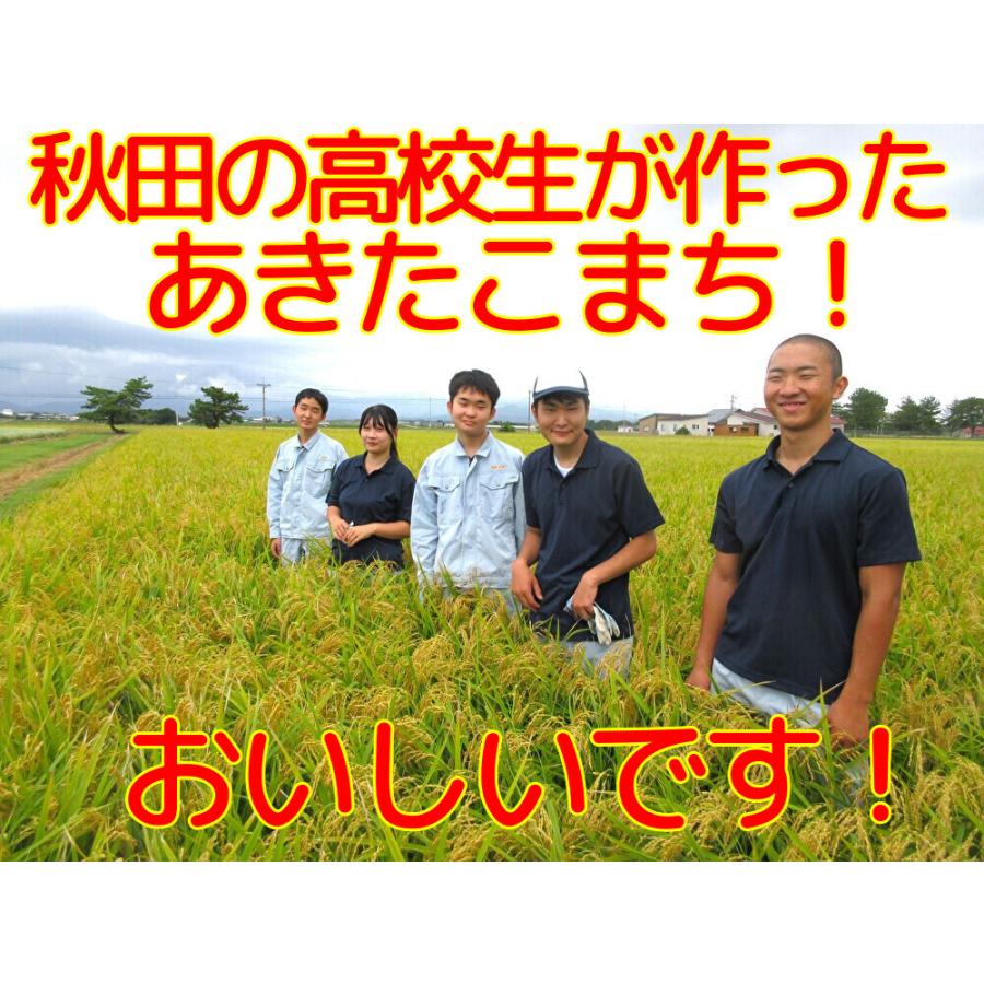 令和5年度秋田県産あきたこまち 玄米　5kgX2袋　新米　米　玄米　おこめ　秋田県産　単一原料米　ブランド米