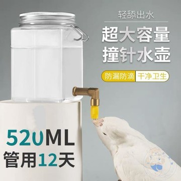 💰銅板好物💰鸚鵡撞針 飲水器 鳥用    水杯    蘆丁雞  水壺  自動大容量寵物芙蓉鳥噬菌體