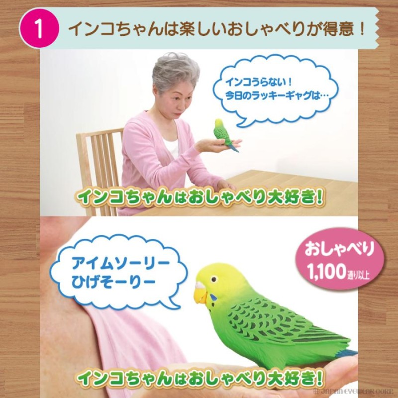 インコ 鳥 おもちゃ 毎日おしゃべり天才インコちゃん 脳トレ グッズ