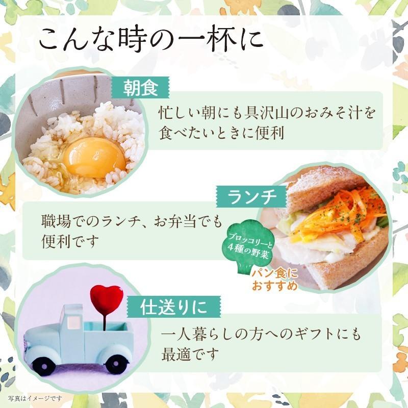 味噌汁 まとめ買い インスタント 即席 具沢山 みそ汁 お味噌汁 選べる セット 食品 ひかり味噌 大地と海の野菜を食べる3種のお味噌汁30食 4箱 計120食