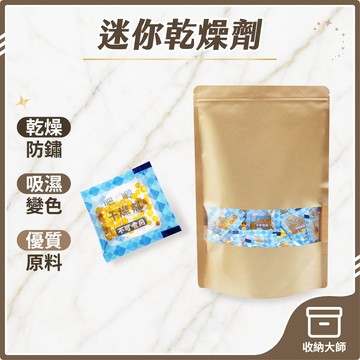 台灣現貨 迷你乾燥劑 1克 100包 食品乾燥劑 乾燥劑 乾燥包 防潮包 水玻璃 除濕防黴防潮吸潮吸濕 收納大師