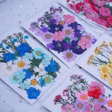 押花干花貼臉組合書簽滴膠臺燈手機殼干花壓花材料包樹葉植物標本