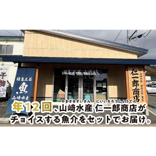 ふるさと納税 北海道 新ひだか町 ＜定期便12回＞北海道産 旬 の お魚 4〜5種 お楽しみ 定期便 魚 旬のお魚 セット