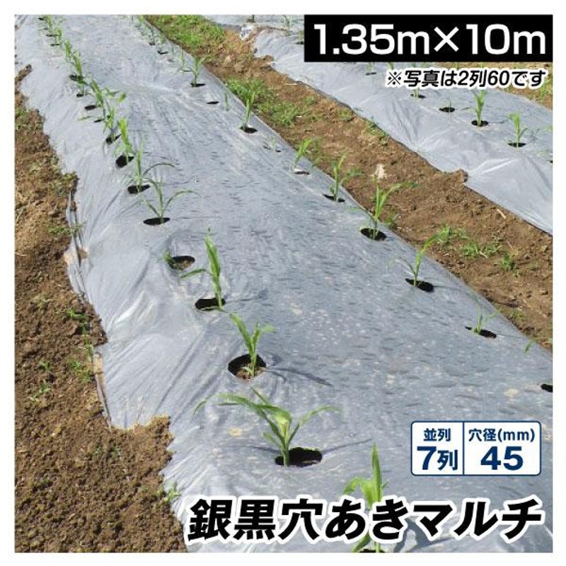 農業用マルチシート 農ポリ 銀黒穴あきマルチ 7列45 1.35×10m 1枚 少量 使い切り 農用 マルチング 被覆資材 ポリエチレン 国華園 |  LINEブランドカタログ