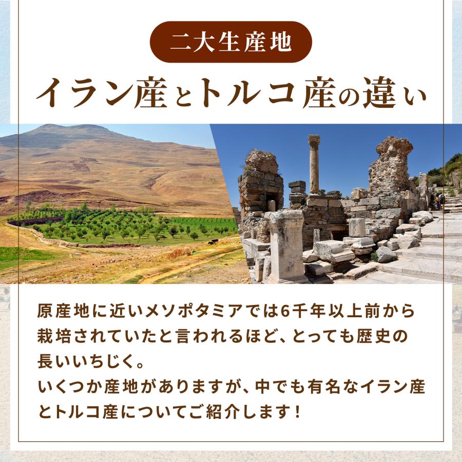 セール品 3,760円→1,980円 2袋 ドライいちじく 無添加 イラン産 小粒 砂糖不使用「良食健美 しっとりプチプチ ドライいちじく 250g 2個組」