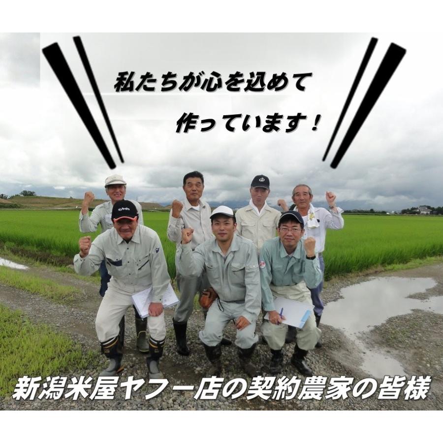 新米　お米　新潟産こしいぶき　精米５ｋｇ　本州送料無料　阿賀野市　令和4年産