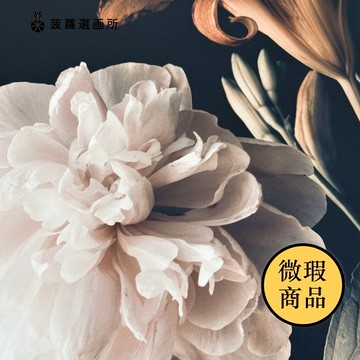 【福利品】雍容華貴•牡丹II-臥室掛畫/家居佈置/客廳裝飾/沙發背景/旅店掛畫