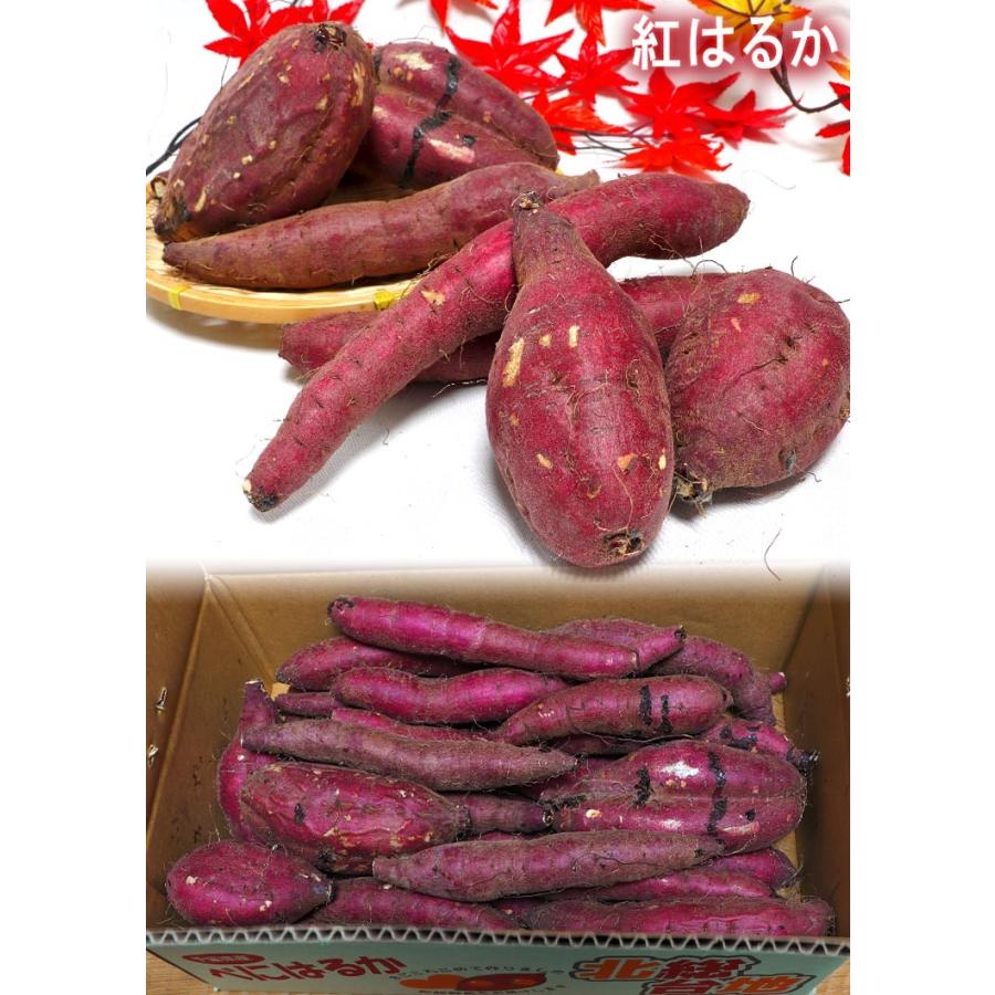 紅あずま・紅はるか・紅ゆうか 紅まさり さつまいも 約5kg 千葉県・茨城県産 訳あり品 濃厚な味と栄養豊富な旬の野菜！甘み溢れる薩摩芋をお届け