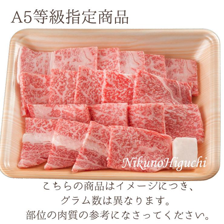 肉 牛肉  和牛 焼肉 A5 等級 最高 ランク 飛騨牛 ロース肉 400ｇ 1パック 黒毛和牛 焼き肉 バーベキュー お取り寄せ グルメ