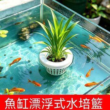 嚴選好物 實用園藝工具 魚缸漂浮式水培籃 水培籃種植籃 無需固定自由浮動 造景裝飾塑料水培植物籃種植盆共生浮盆 田螺精選