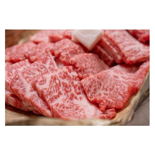 ふるさと納税 滋賀県 竜王町  肉 牛肉 ブランド牛 三大和牛 和牛 黒毛和牛 国産 バーベキュー 贈り…