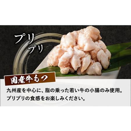 ふるさと納税 「おおやま」博多もつ鍋 みそ味 2人前《30日以内に順次出荷(土日祝除く)》福岡県 鞍手郡 小竹町 株式会社吉浦コーポレーション も.. 福岡県小竹町