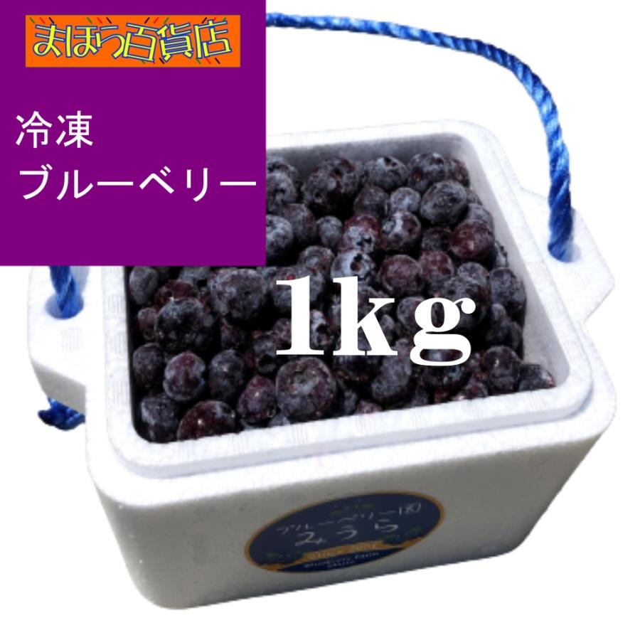 ブルーベリー園みうらのブルーベリー　大玉　1kg　冷凍