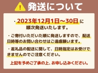 MZ038 福岡県産 あまおうDX以上 500g（2パック） 先行予約 2023年12月1日～12月30日に順次発送