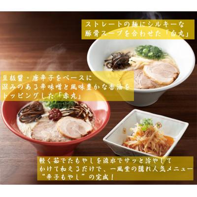 ふるさと納税 飯塚市 「一風堂」とんこつラーメン 白丸・赤丸(各6食)