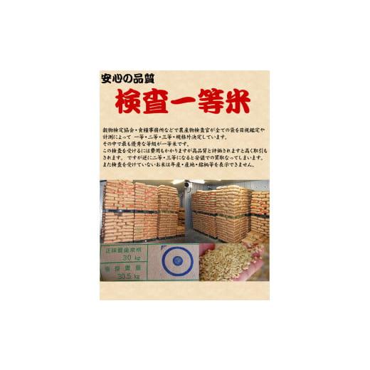 ふるさと納税 千葉県 八千代市 八千代市産ミルキークイーン・精米10kg（5kg×2袋）×3回