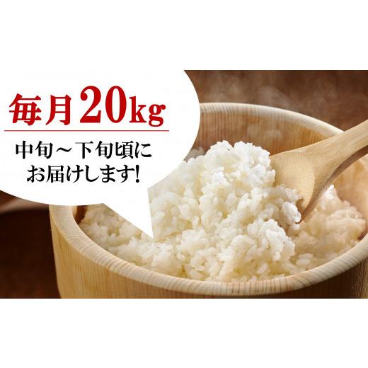 ふるさと納税 新潟県 柏崎市 令和5年産新米新潟県認証特別栽培 コシヒカリ 無洗米 20kg（5kg×4袋）×9回（計 180kg） 真空パック[U033]