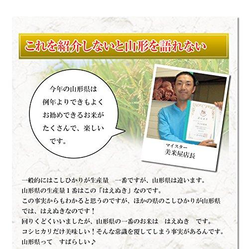 新米 山形県 白米 はえぬき 10kg 令和5年産