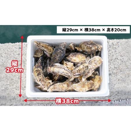 ふるさと納税 メディアでも話題の生食用カキ！赤穂・坂越湾で育った新鮮な身を厳選(坂越産カキ 生食用 殻付5kg)[ 牡蠣 冬牡蠣 兵庫県赤穂市