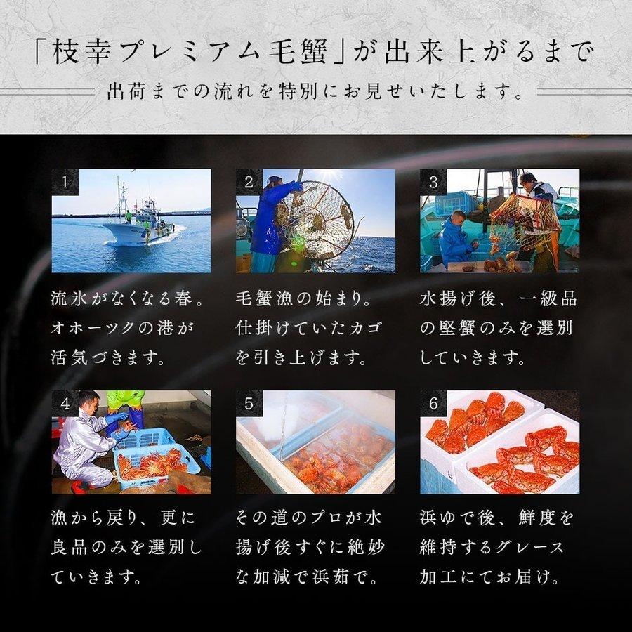 毛蟹 毛ガニ 北海道 枝幸産 プレミアム毛蟹 450g前後 送料無料 高級 海鮮 お取り寄せ