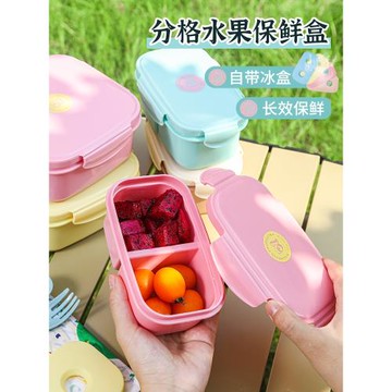 Alamaid 水果盒小學生保鮮盒密封食品級可微波外帶兒童水果便當盒