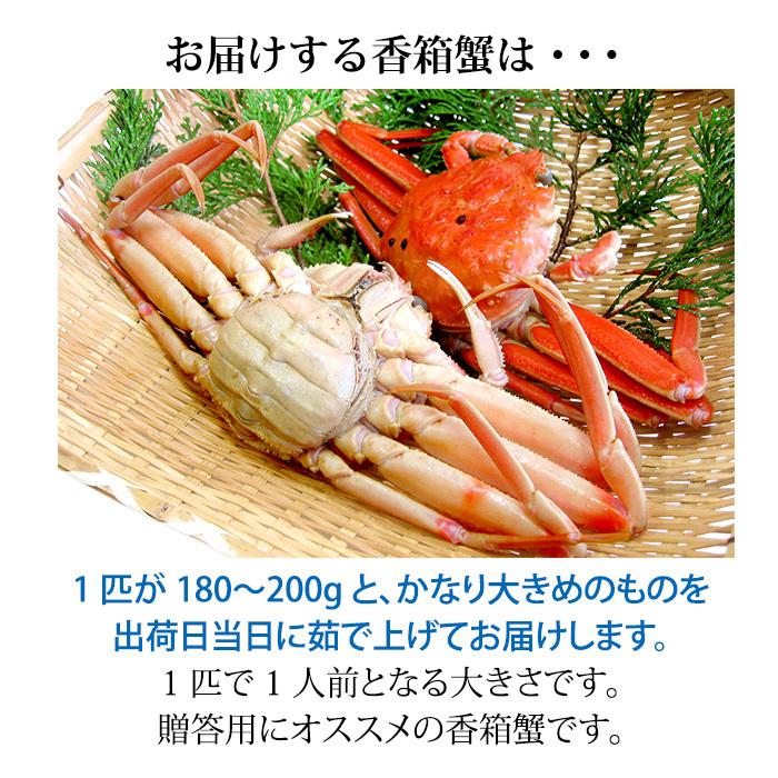 蟹漁解禁！香箱蟹 せいこ かなり大きめ 180〜200g ×1匹 浜茹で 産地直送 お取寄せ 5匹以上のご注文で送料無料