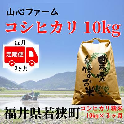 ふるさと納税 若狭町 福井県若狭町コシヒカリ(1等米)10kg　精米全3回