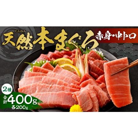 ふるさと納税 極上！たね熟天然本まぐろ赤身＆中トロセット(400g 各200g) 大阪府高槻市