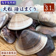 九十九里産　大粒活はまぐり　約3.1kg